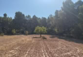 Chalet independiente con terreno en venta en la España, Valderrobres, ref: TR335971 foto