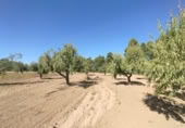 Chalet independiente con terreno en venta en la España, Valderrobres, ref: TR335971 foto