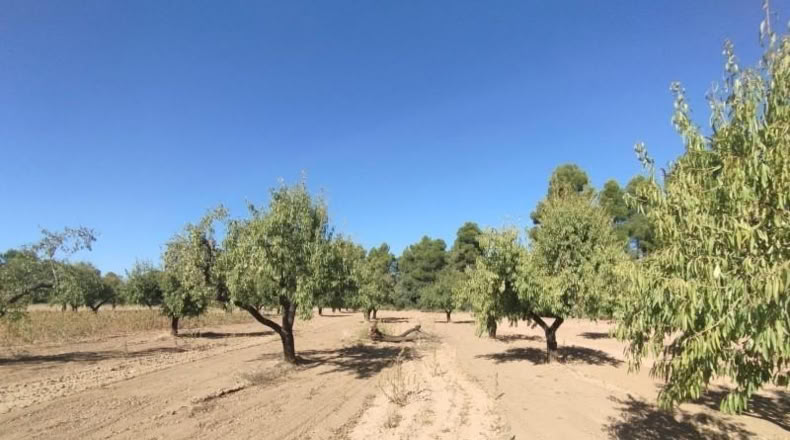 Teruel - Valderrobres - 20m2
