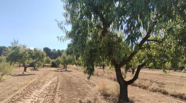 Teruel - Valderrobres - 20m2