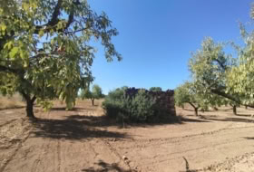 Foto 9