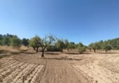 Chalet independiente con terreno en venta en la España, Valderrobres, ref: TR335971 foto