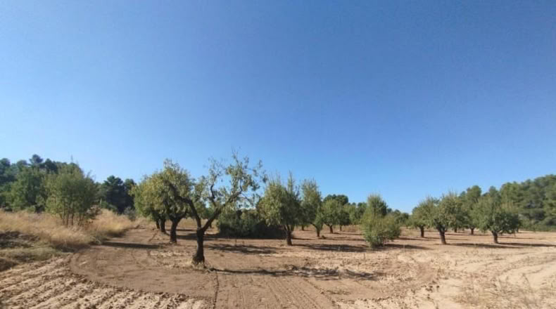 Teruel - Valderrobres - 20m2