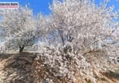 Sòl urbà en lloguer a la España, Campo Real, ref.: TR317621 foto