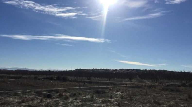 Murcia - Villanueva del Río Segura - 2236m2