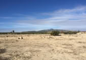 Non-developable land for sale on España, Villanueva del Río Segura, ref: TR255634 photo