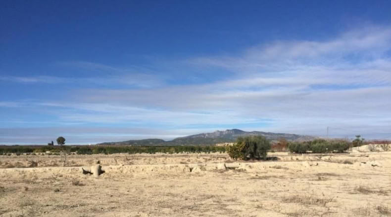 Murcia - Villanueva del Río Segura - 2236m2