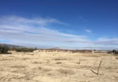 Non-developable land for sale on España, Villanueva del Río Segura, ref: TR255634 photo