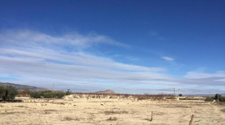 Murcia - Villanueva del Río Segura - 2236m2