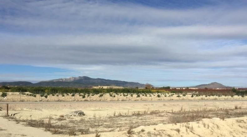 Murcia - Villanueva del Río Segura - 2236m2