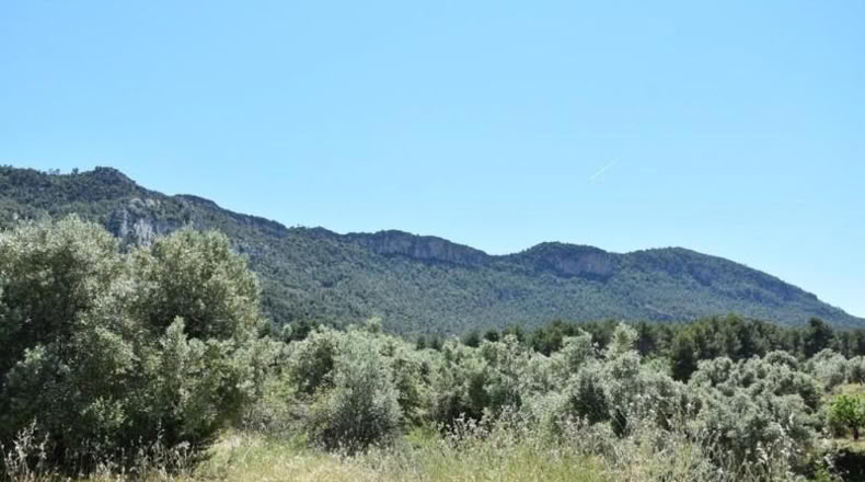 Teruel - Valderrobres - 31231m2