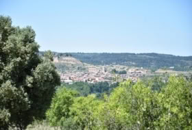 Foto 7