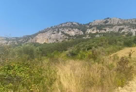 Belascoáin 1437&nbsp;m²