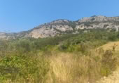 Non-developable land for sale on España, Belascoáin, ref: TR331159 photo