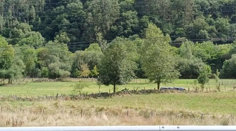 Cantabria - San Andrés de Luena - 5594m2