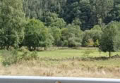 Terreny no urbanitzable en venda a la España, San Miguel de Luena, ref.: TR326228 foto
