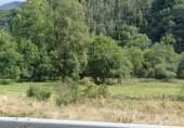 Terreny no urbanitzable en venda a la España, San Miguel de Luena, ref.: TR326228 foto