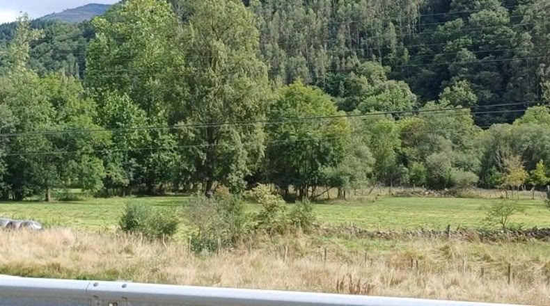Cantabria - San Andrés de Luena - 5594m2