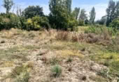 Non-developable land for sale on España, Urroz-Villa, ref: TR327584 photo