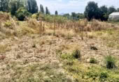 Non-developable land for sale on España, Urroz-Villa, ref: TR327584 photo