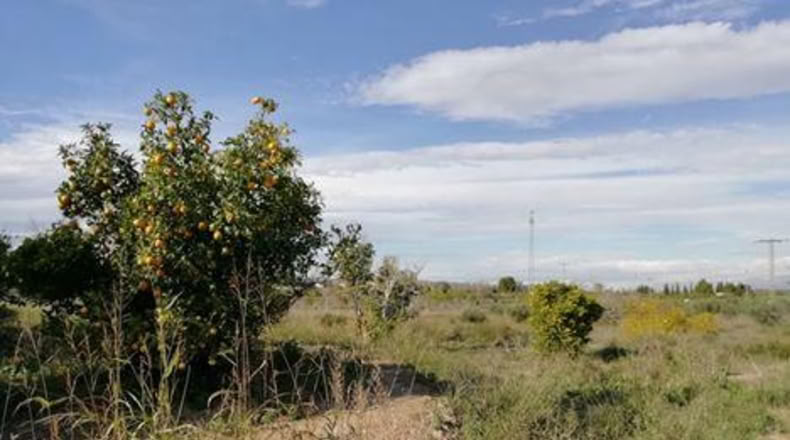Murcia - Мурсия - 1023m2