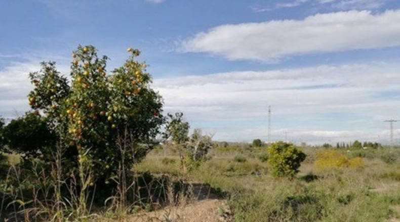 Murcia - Мурсия - 1023m2