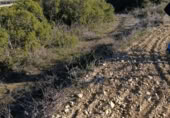 Terreny no urbanitzable en venda a la España, Bullas, ref.: TR376725 foto