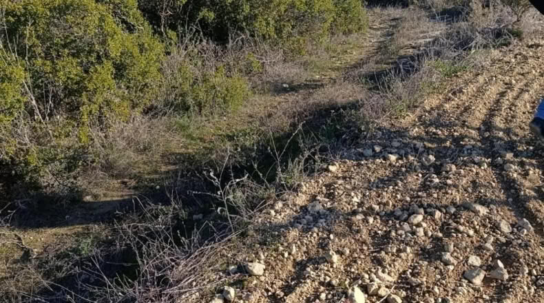 Murcia - Bullas - 11000m2
