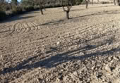 Terreny no urbanitzable en venda a la España, Bullas, ref.: TR376725 foto