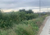 Terreno no urbanizable en venta en la España, Murcia, ref: TR380028 foto