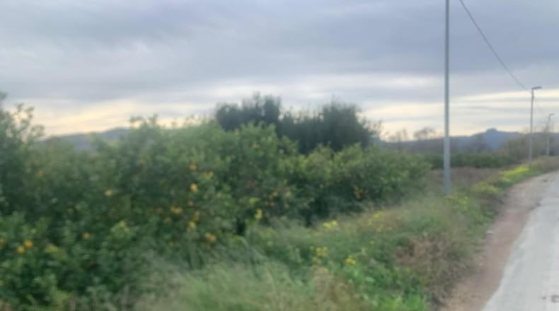 Murcia - Murcia - 2300m2