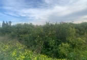 Terreno no urbanizable en venta en la España, Murcia, ref: TR380028 foto