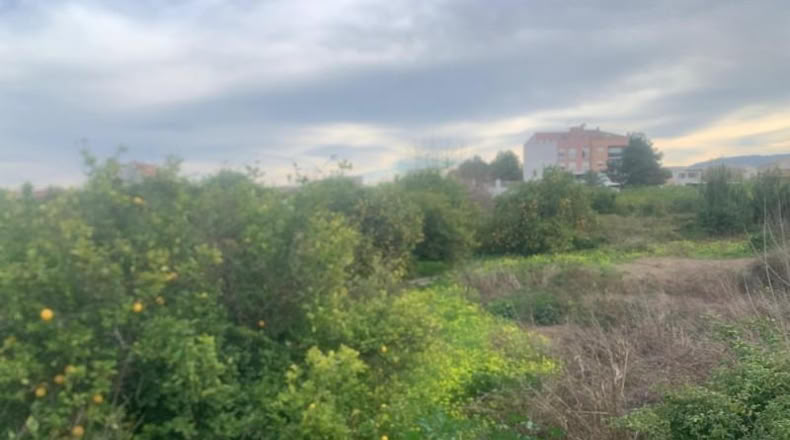 Murcia - Murcia - 2300m2