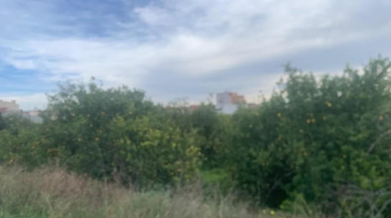 Murcia - Murcia - 2300m2
