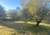 Terreno no urbanizable en venta en la España, el Perelló, ref: TR127191 foto