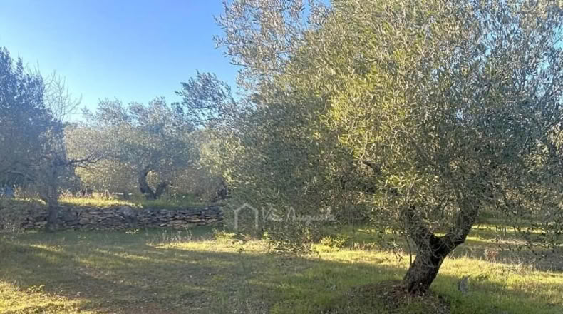 Tarragona - el Perelló - 5051m2