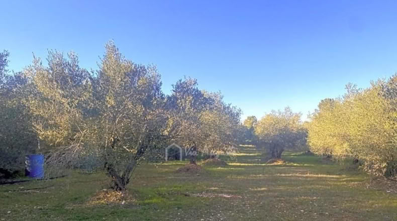 Tarragona - el Perelló - 5051m2