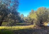 Terreno no urbanizable en venta en la España, el Perelló, ref: TR127191 foto