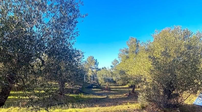 Tarragona - el Perelló - 5051m2