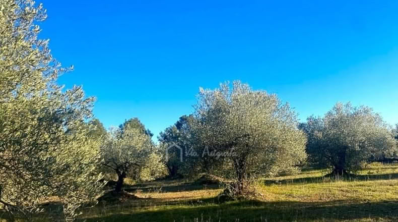 Tarragona - el Perelló - 5051m2