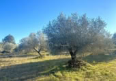 Terreno no urbanizable en venta en la España, el Perelló, ref: TR127191 foto