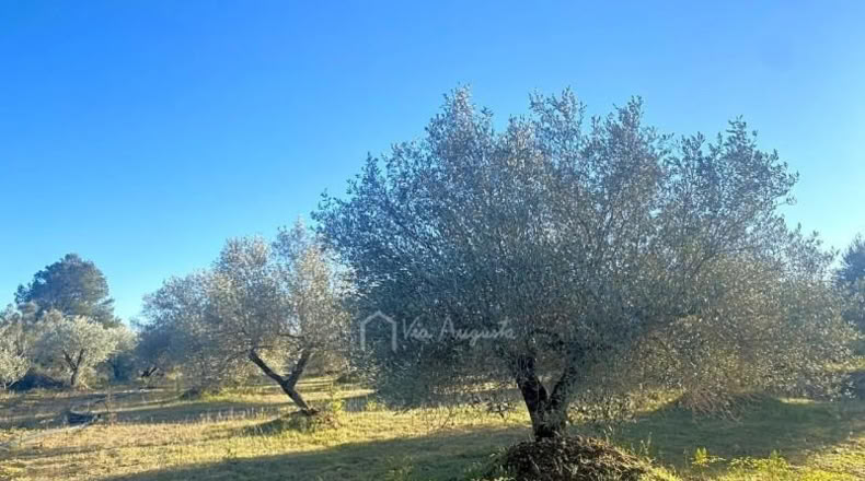 Tarragona - el Perelló - 5051m2
