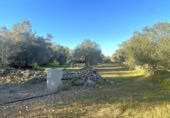 Terreno no urbanizable en venta en la España, el Perelló, ref: TR127191 foto