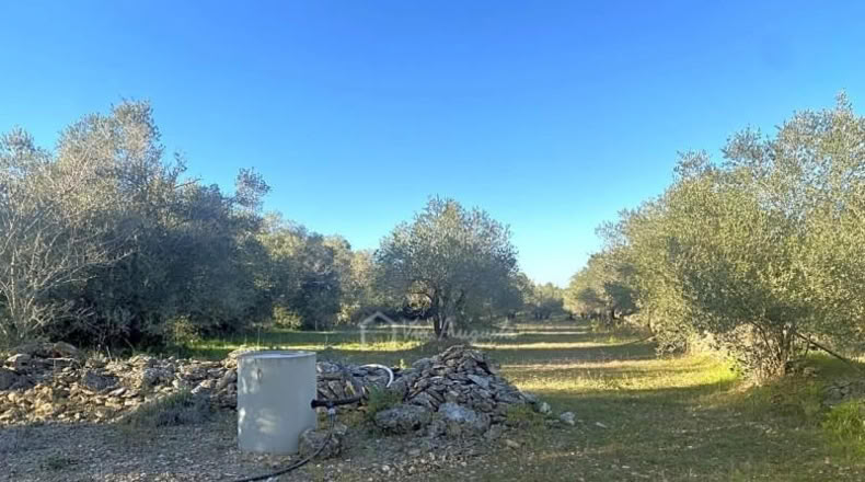 Tarragona - el Perelló - 5051m2