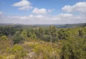 Xalet independent amb terreny en venda a la España, Vall-de-roures, ref.: TR319824 foto