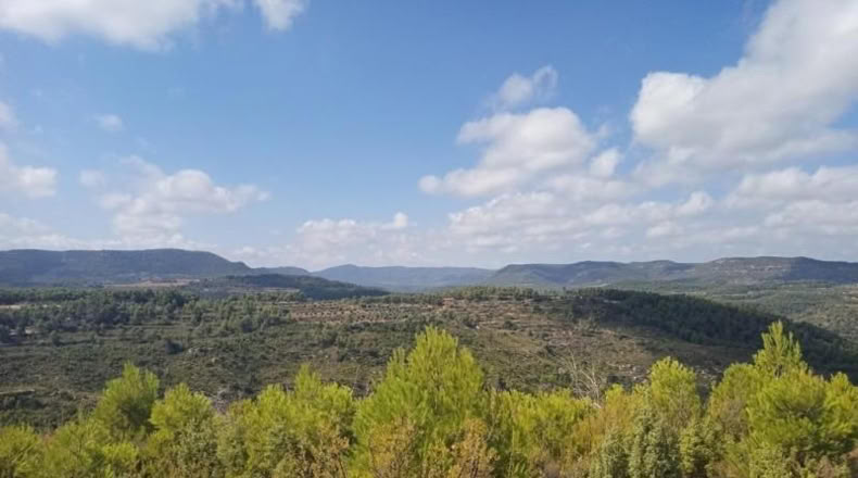 Teruel - Valderrobres - 22600m2