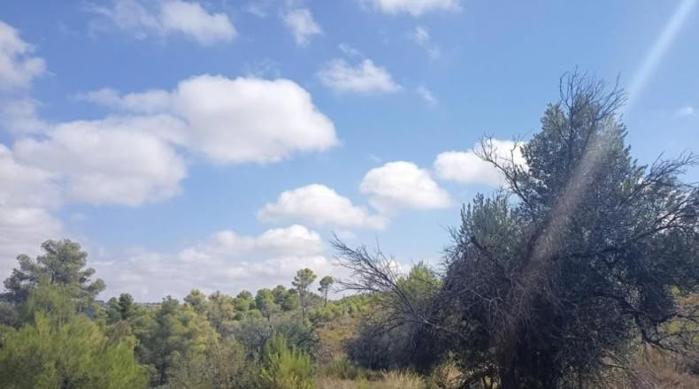 Teruel - Valderrobres - 22600m2
