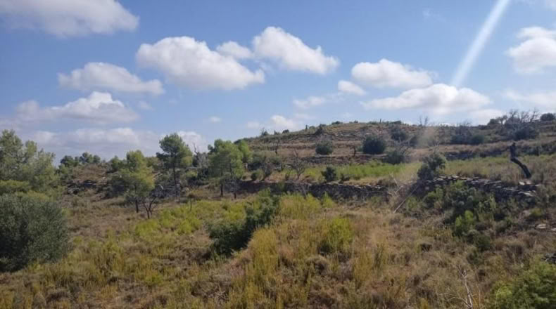 Teruel - Valderrobres - 22600m2