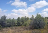 Xalet independent amb terreny en venda a la España, Vall-de-roures, ref.: TR319824 foto
