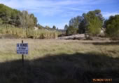 Non-developable land for sale on España, Castelló de Rugat, ref: TR128213 photo